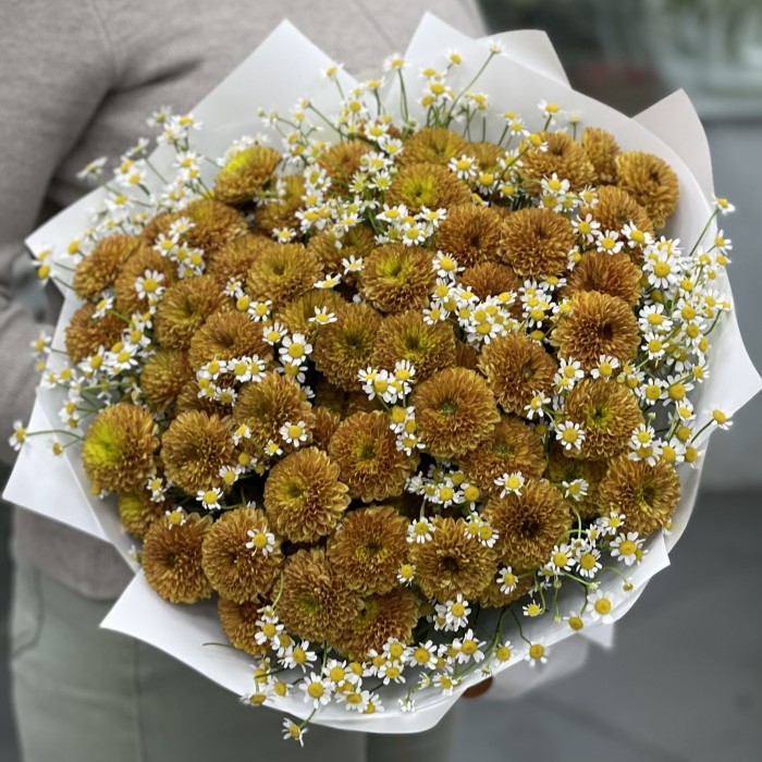 21 оранжевая хризантема Дориа Оранж с ромашкой